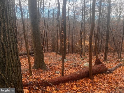 Wooded Lot in Prime Location