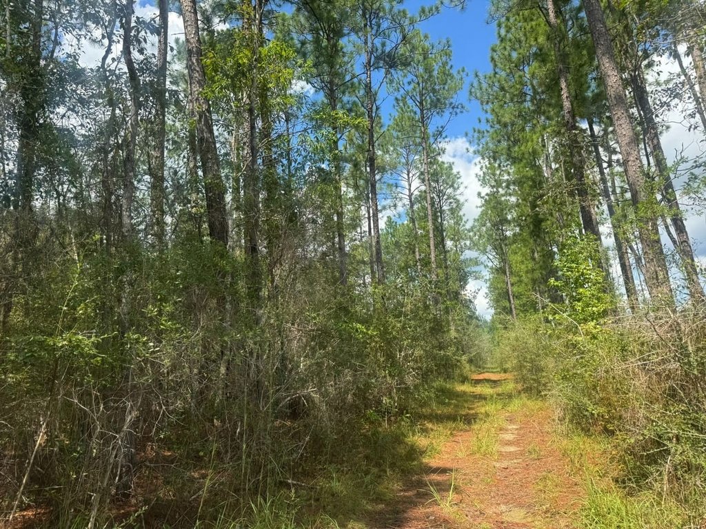 Picture 9