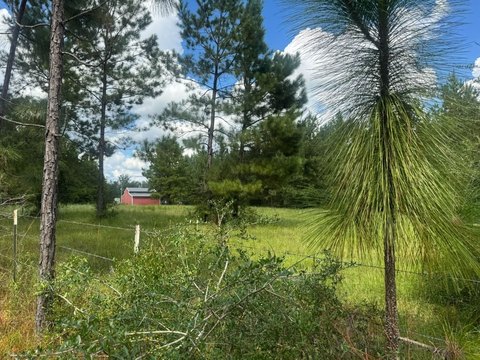Land, Saucier, MS
