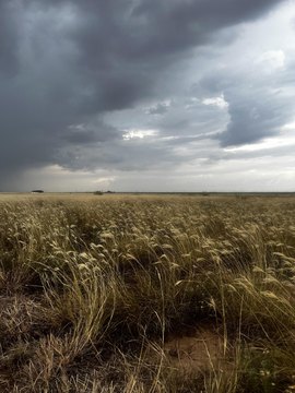 Land, Lubbock, TX