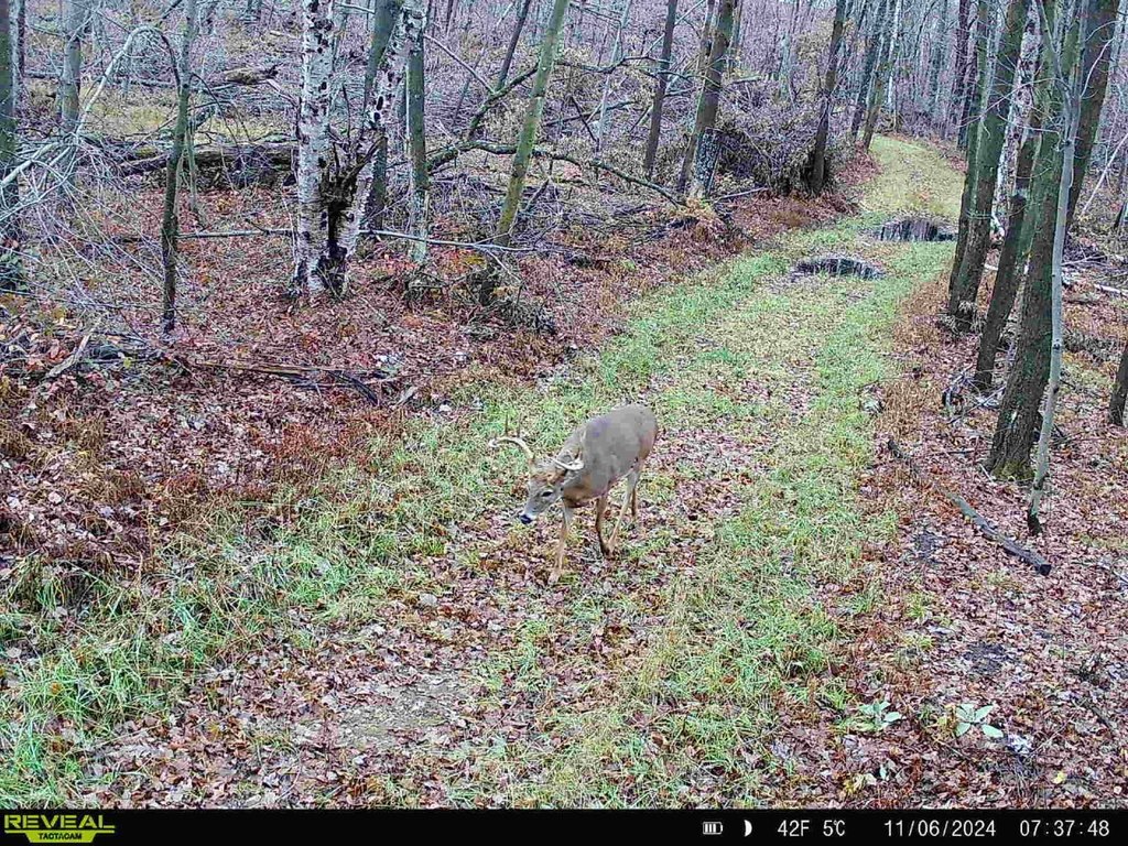 Picture 25