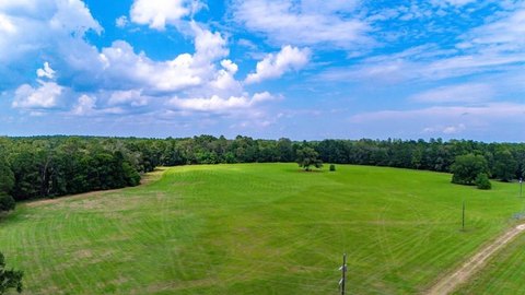 40 Acres of East Texas Land