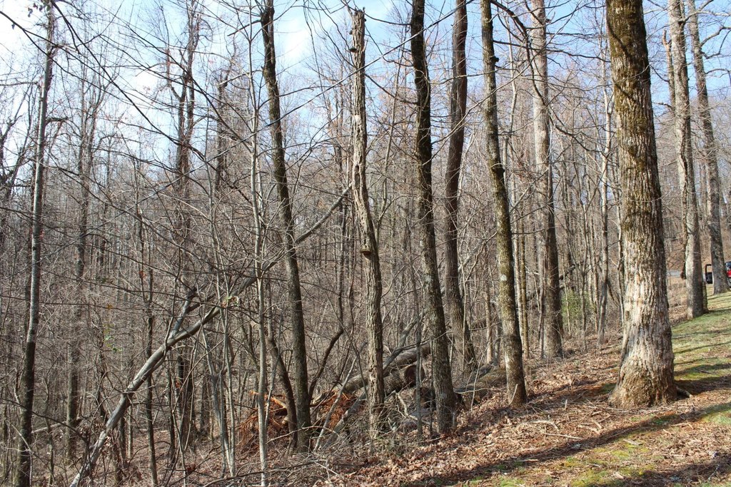 Picture 6