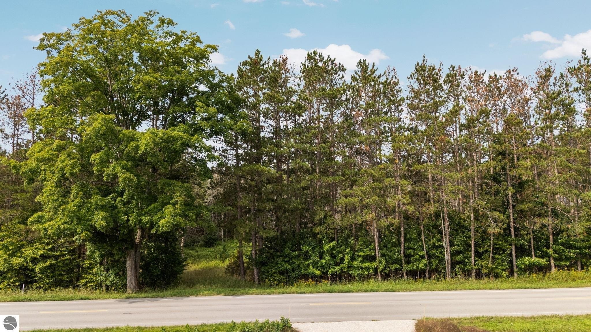 Wooded Acreage Near Lake Ann