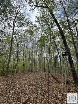 Land, Bassett, VA