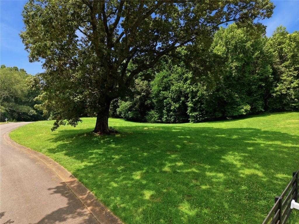 Picture 20