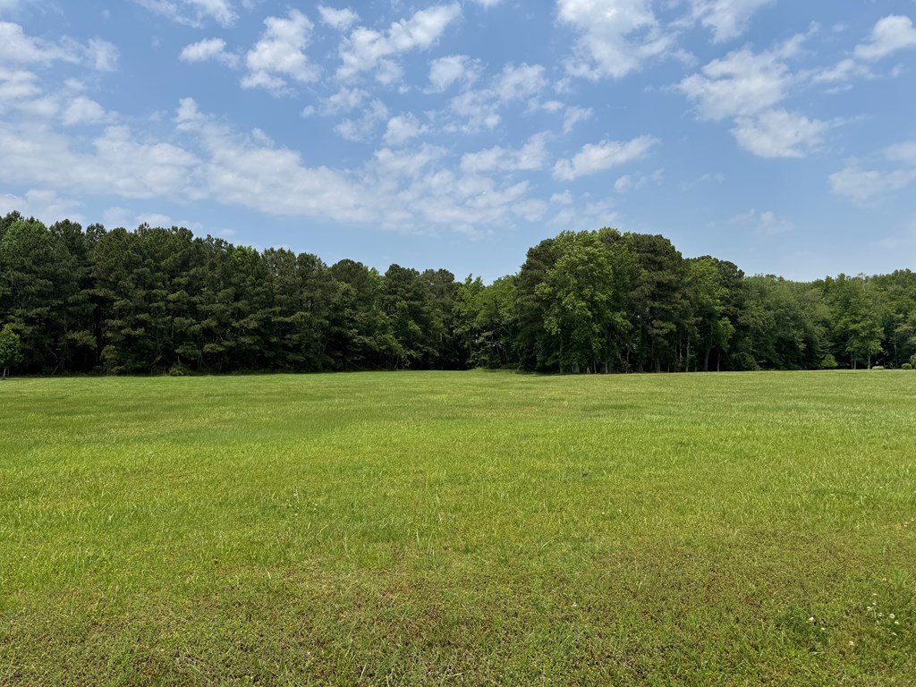 Picture 42