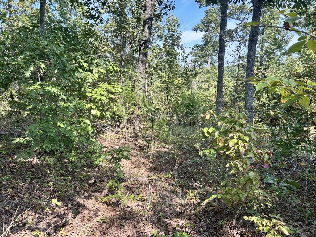 Picture 19
