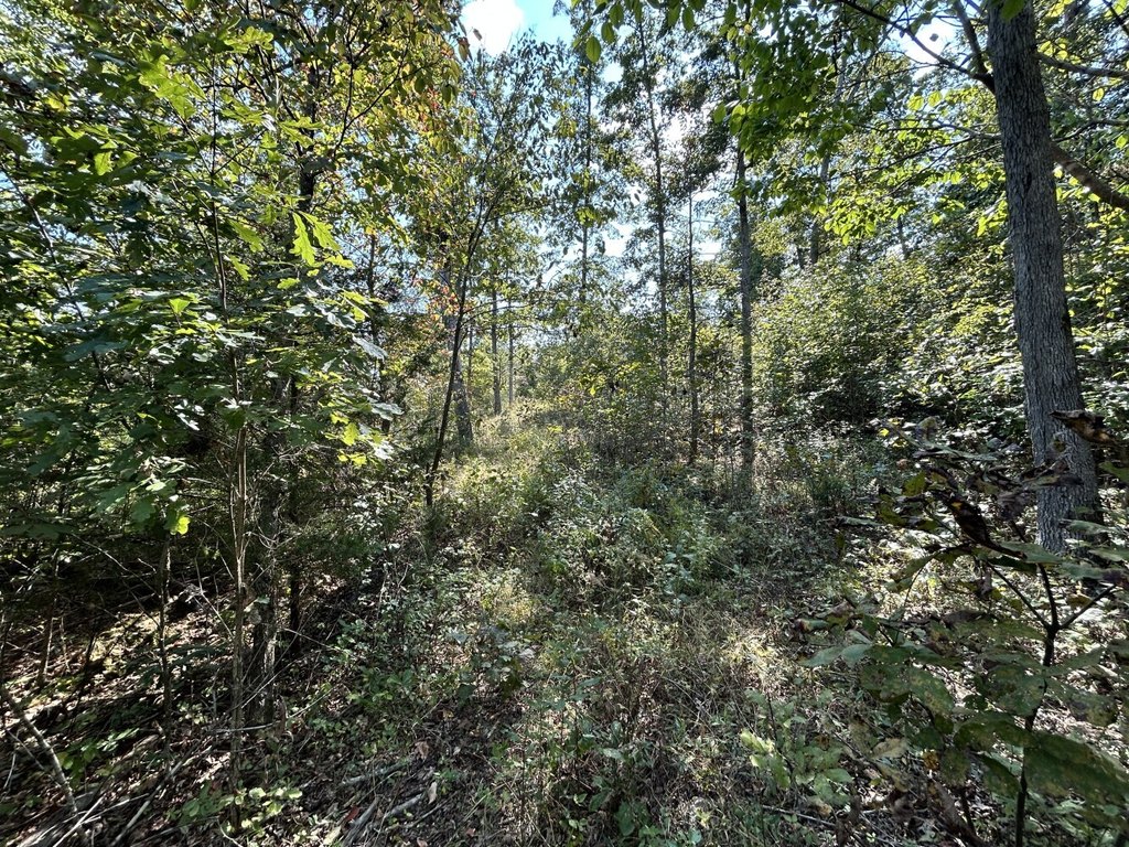 Picture 17