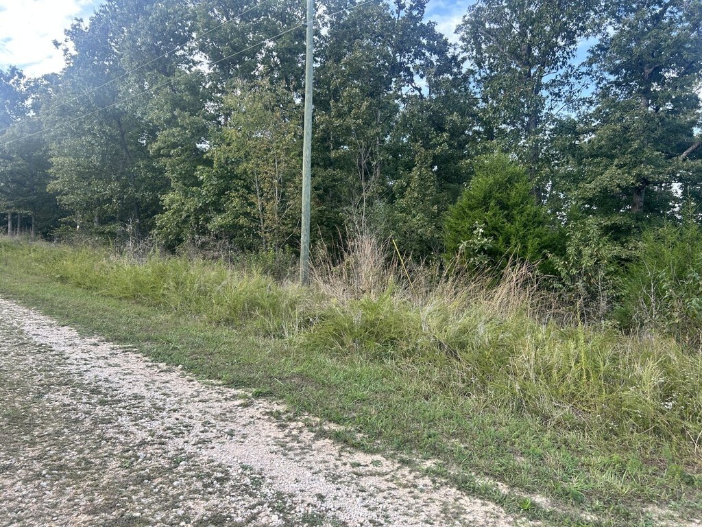 Picture 18