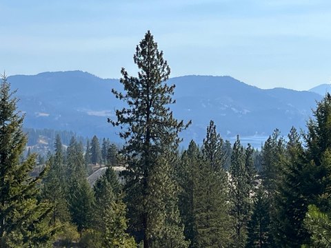 Lake Roosevelt View Acreage