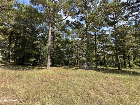 Waterview Lot Near Toledo Bend