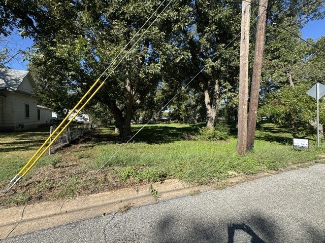 Picture 3