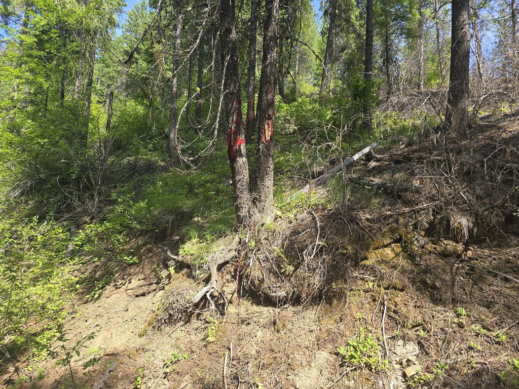 Picture 17