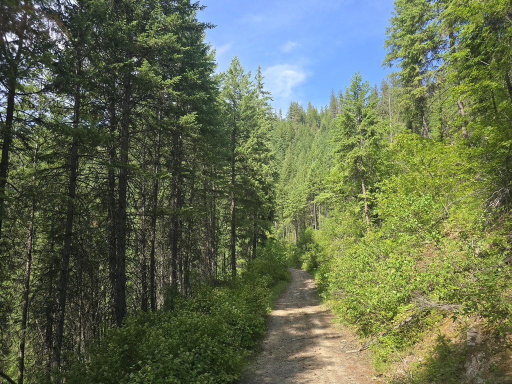 Picture 18