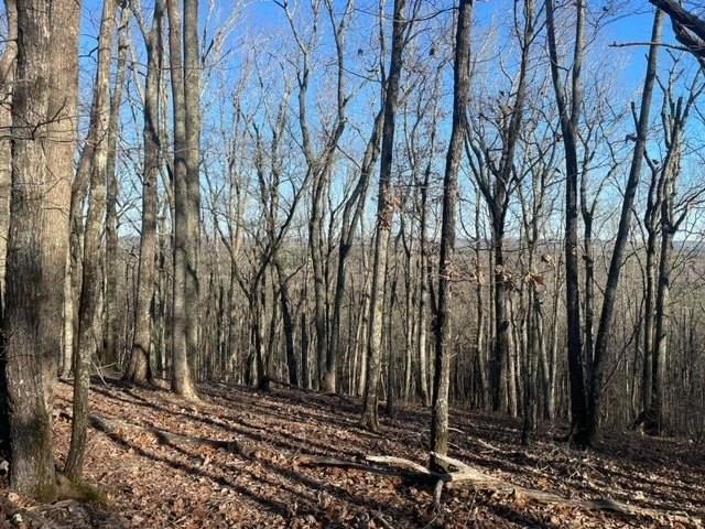 Land in Oak Mountain Estates