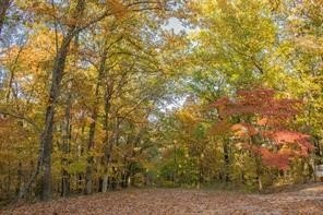 Residential Land in Bella Vista
