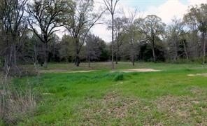 Picture 10
