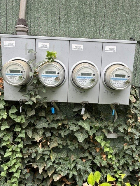 Picture 30