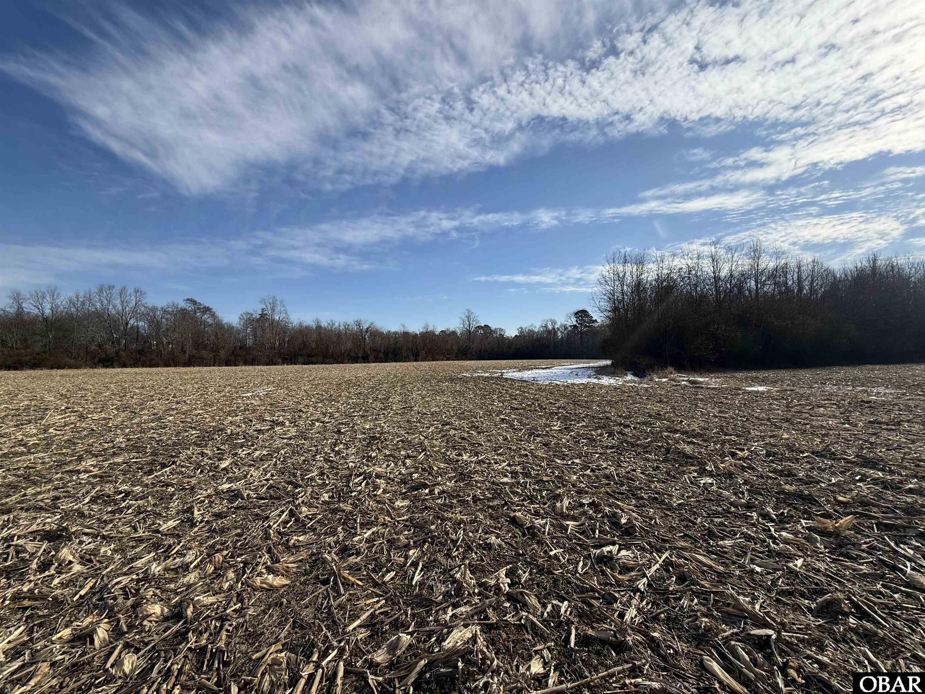 Farmland Investment Opportunity in Roper