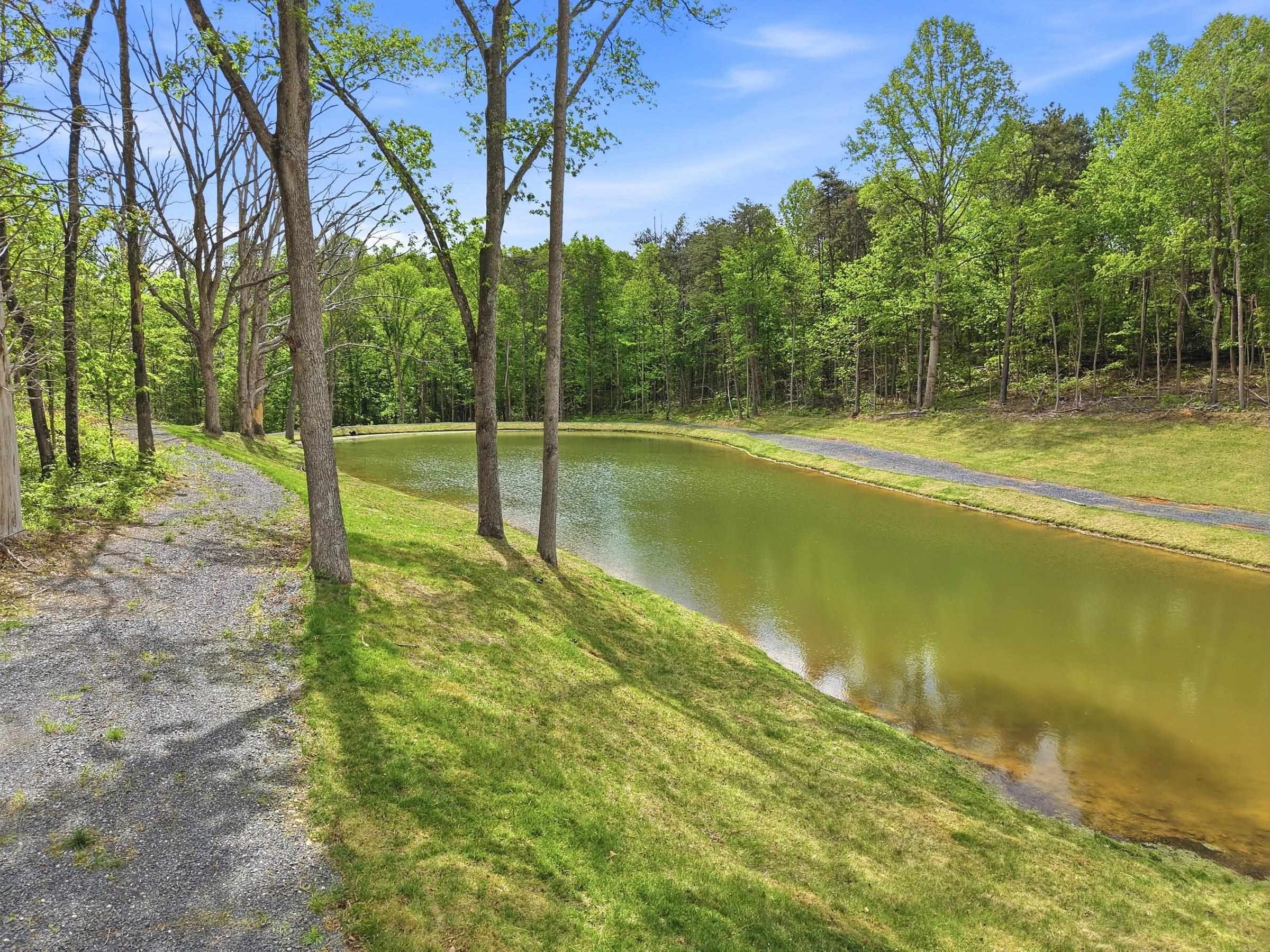 Private Retreat Bordering National Forest