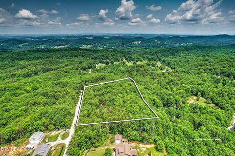 Serene 5-Acre Lot in Maryville