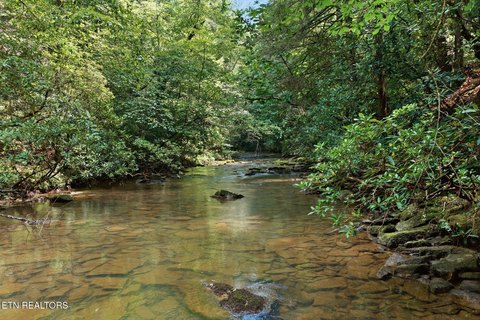 Lots & Acreage, Deer Lodge, TN