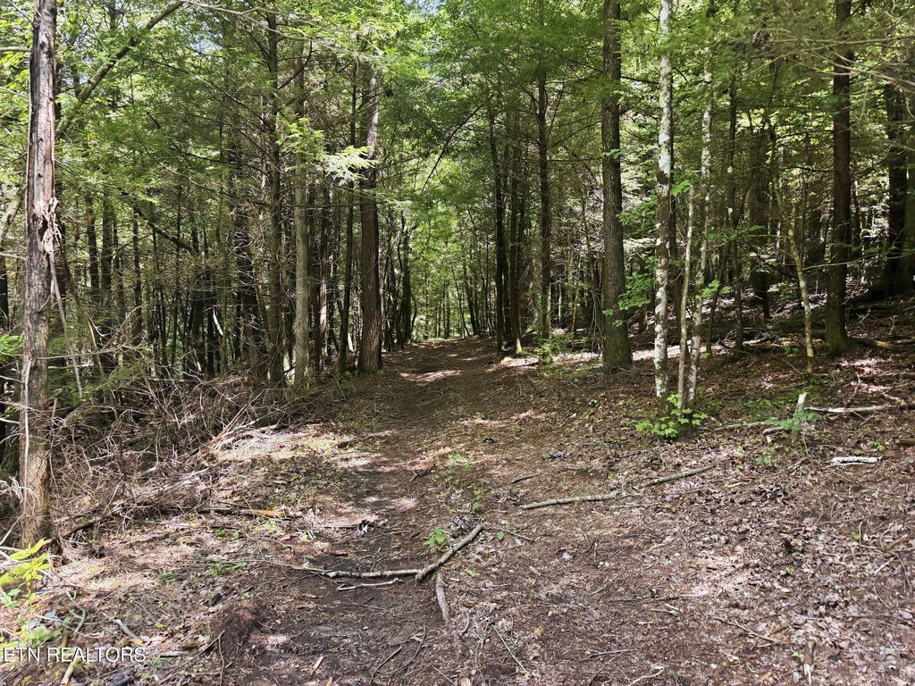 Picture 16