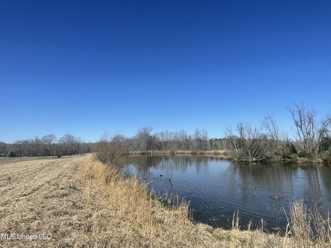 Land with Fishing Pond