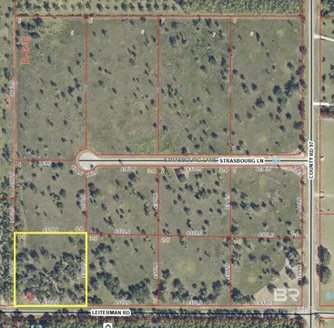 Residential Lot in Elberta, AL