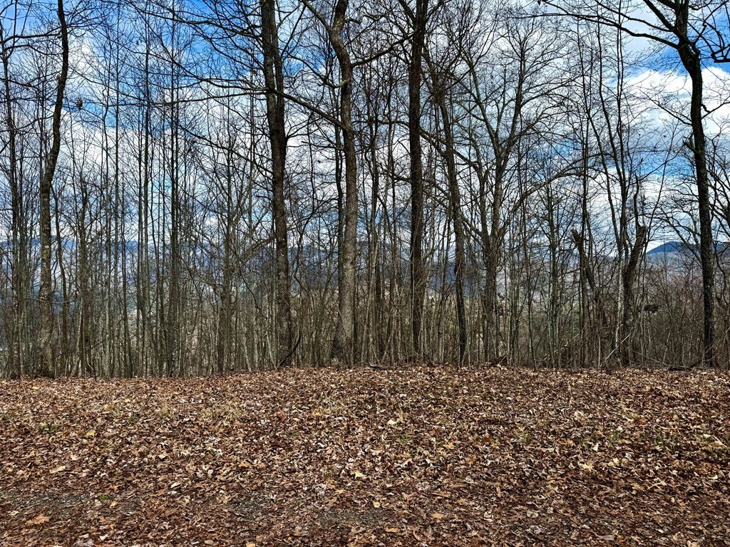 Picture 3