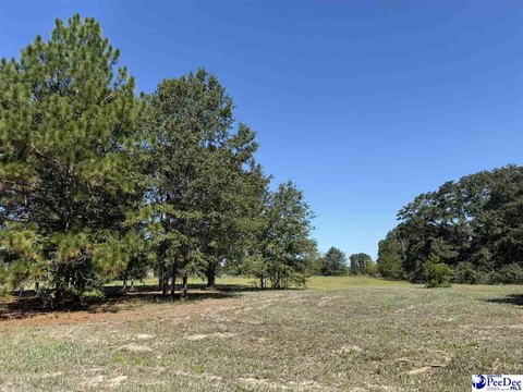 Land, Dillon, SC