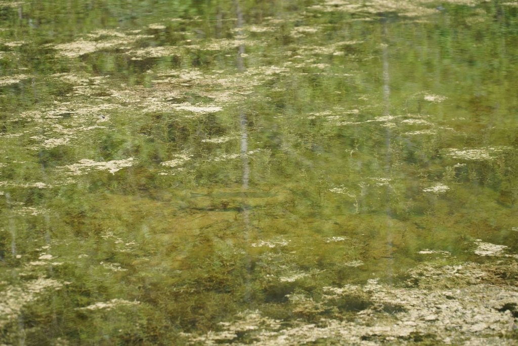 Picture 11