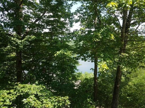 Mountain View Land in Murphy
