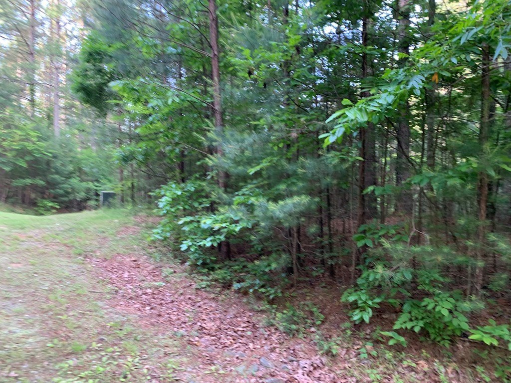 Picture 13