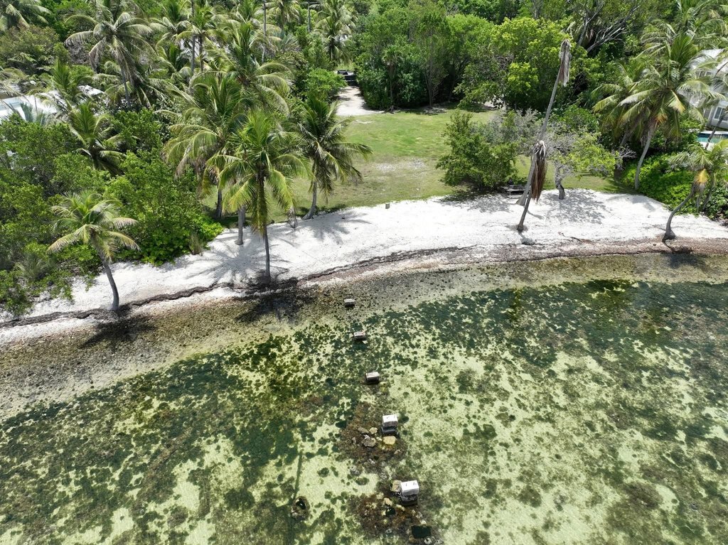 Picture 11