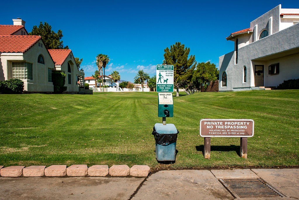 Picture 36