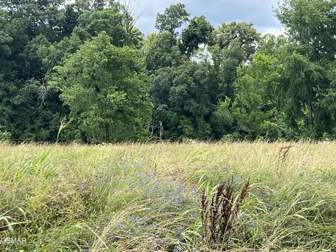 Sevierville Land Near French Broad