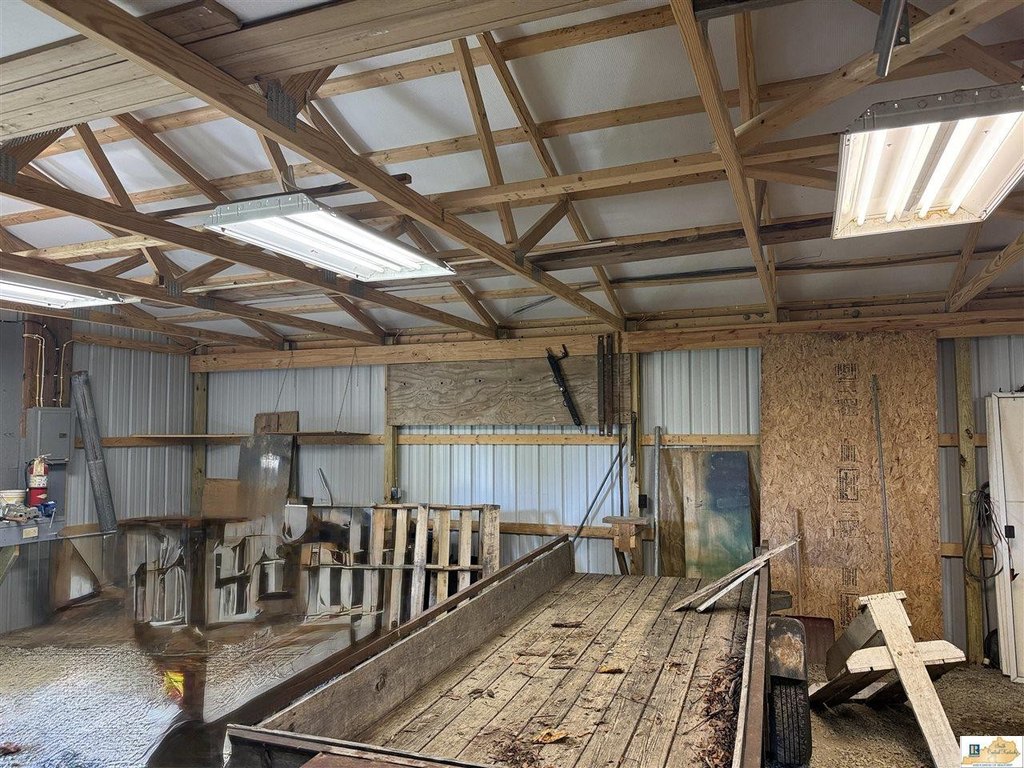 Picture 15