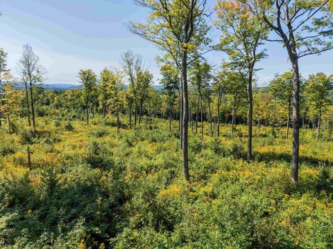Land, Jericho, VT