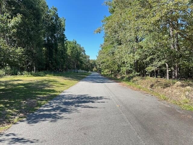 Lake Marion Area Land