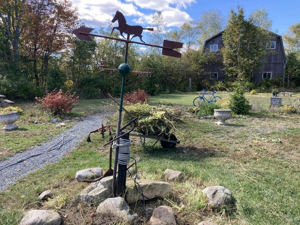 Picture 29