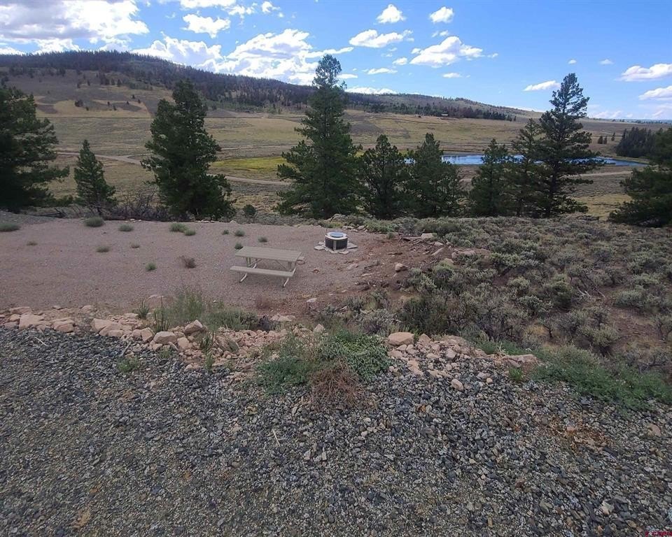 Picture 15
