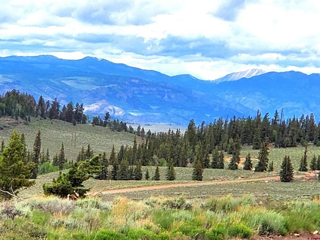 Picture 2
