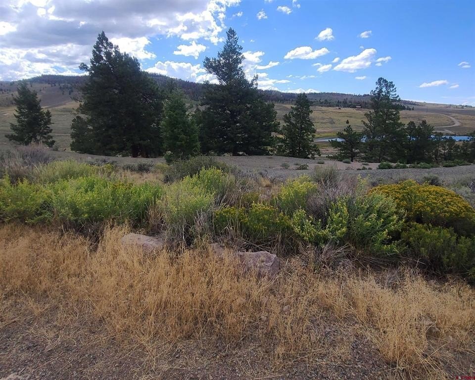Picture 14