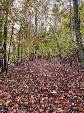 LAND - Bryson City, NC