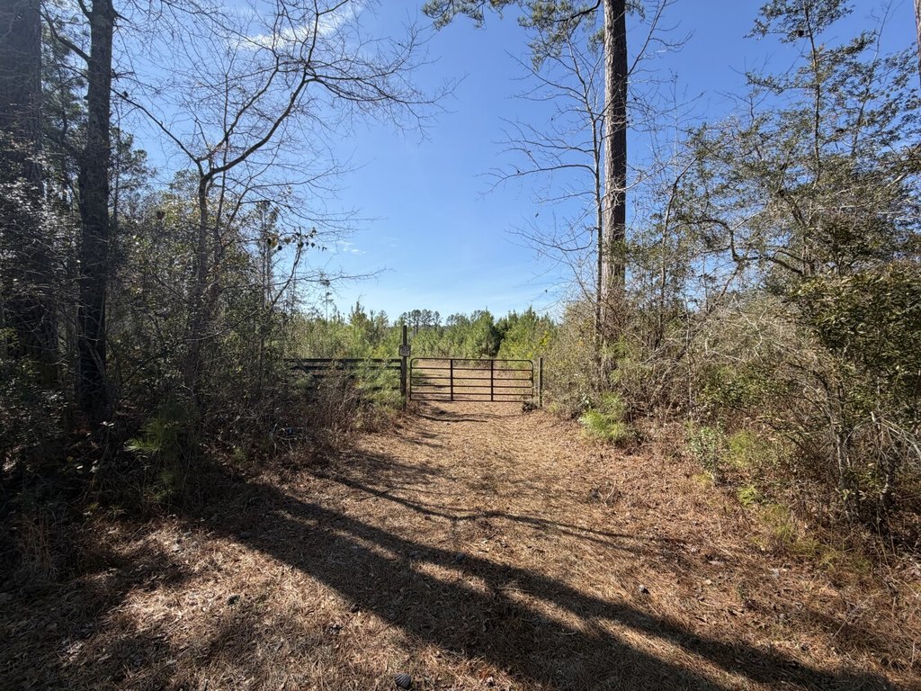 Picture 12