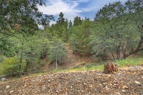 Land, Big Bear City, CA