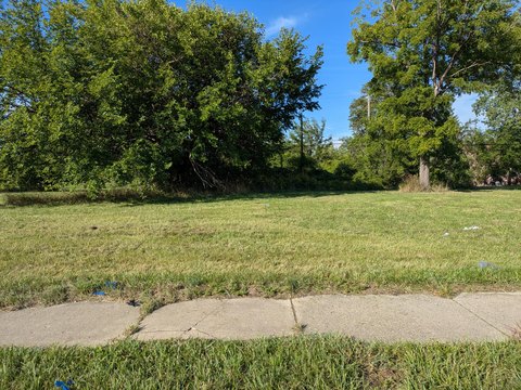 Land, Detroit, MI