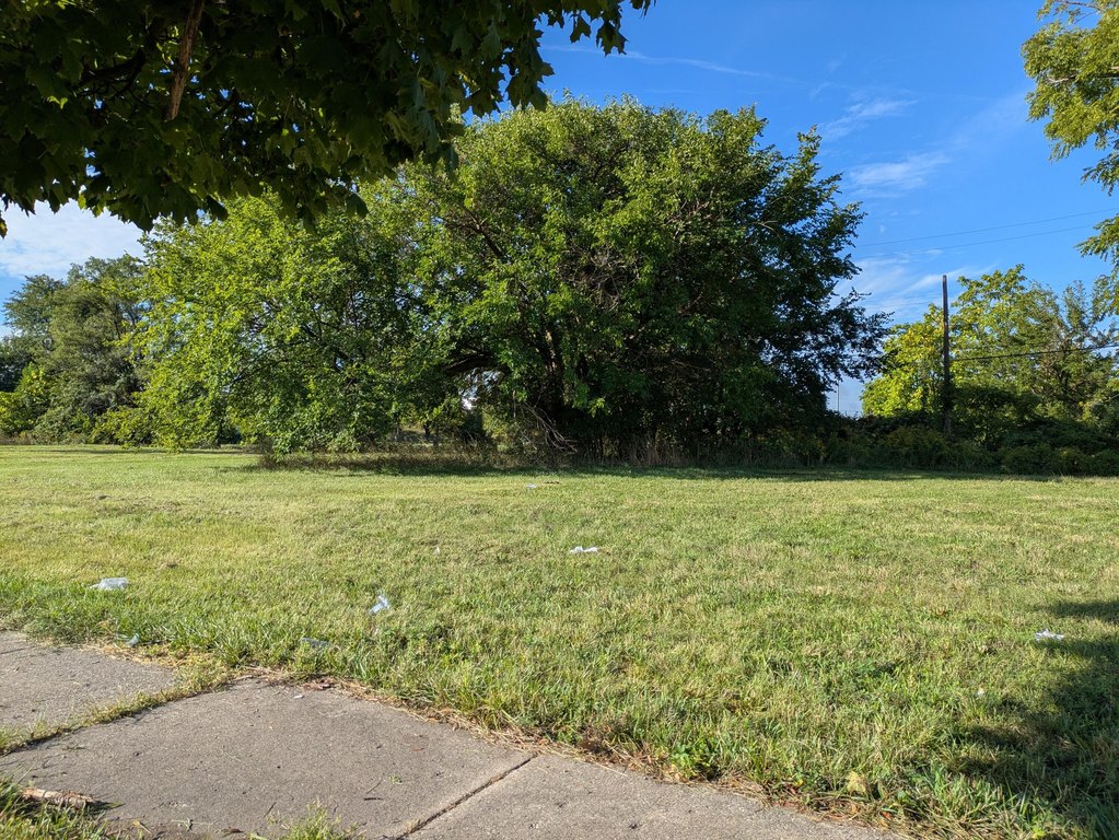 Picture 11